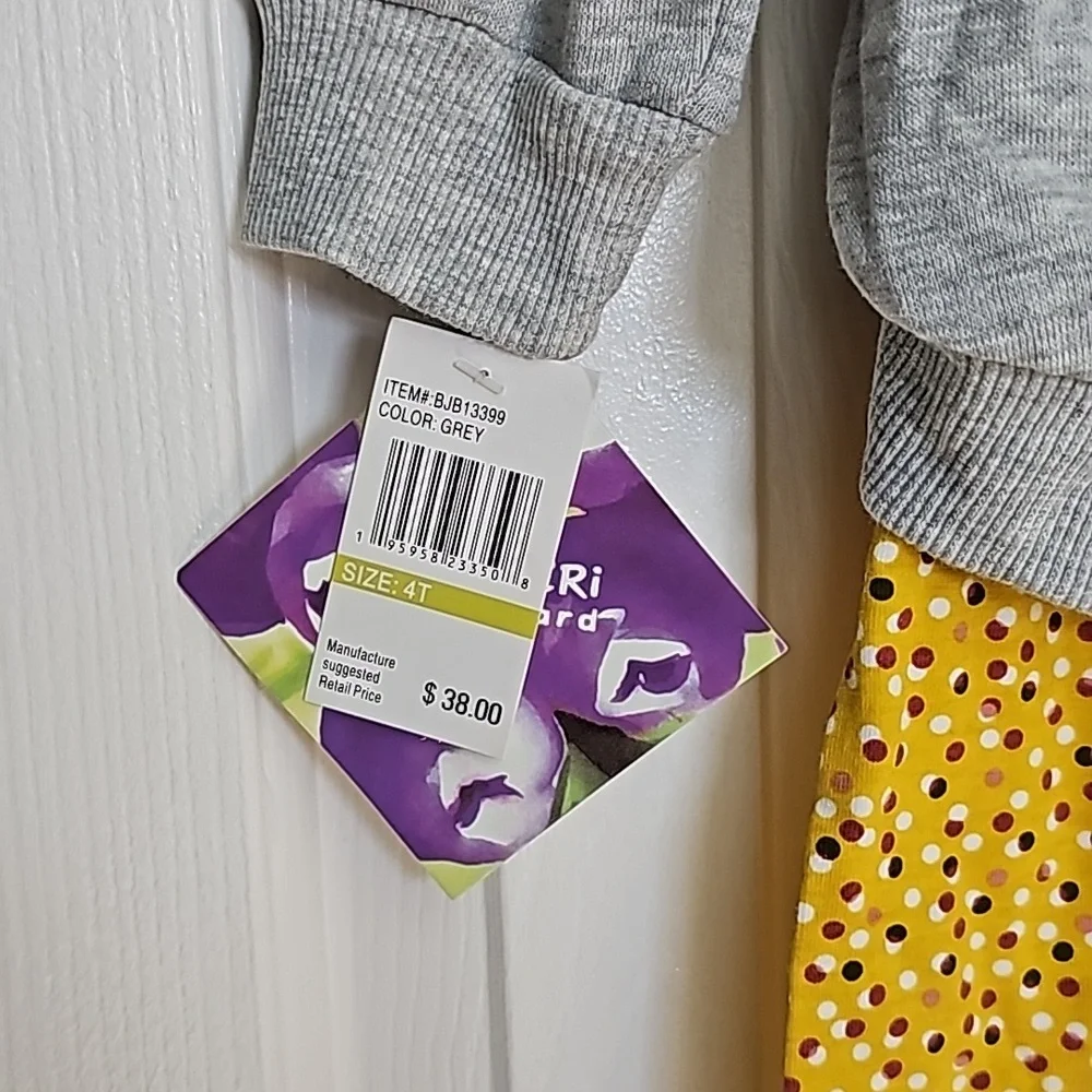Blueberi Blvd Gray and Yellow Outfit Kid's Top Size 4T Pants Size 5 - Picture 10 of 13